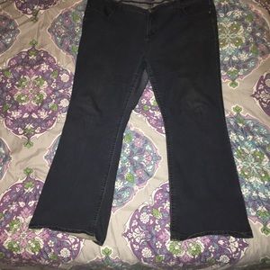 Torrid Bootcut Jeans